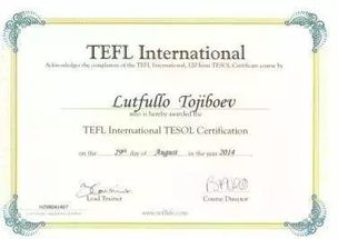 国际教师教育教学资格证书